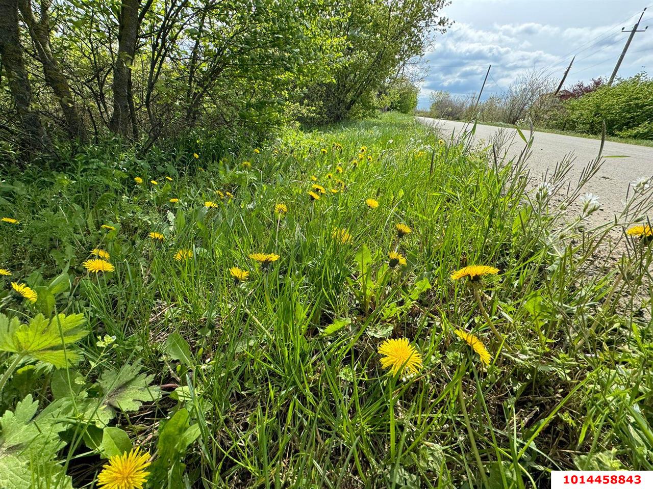 Фото №6: Участок садоводство 6 сот. - Заря, ул. Вишнёвая, 27
