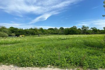 Фото №1: Земельный участок 15 сот. - Калужская, 