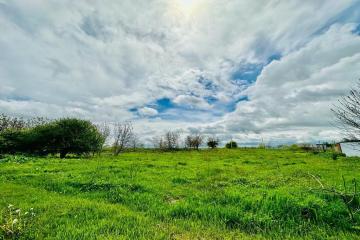 Фото №2: Земельный участок 10 сот. - Старокорсунская, мкр. Карасунский внутригородской округ, ул. Придорожная