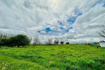 Фото №2: Земельный участок под ИЖС 10 сот. - Старокорсунская, мкр. Карасунский внутригородской округ, ул. Придорожная