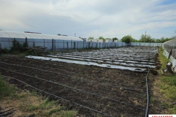 Фото №1: Личное подсобное хозяйство 10 сот. - Платнировская, ул. Северная, 39