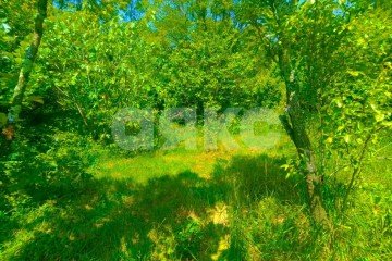 Фото №4: Дом 59 м² - Сочи, мкр. Донская, пер. Виноградный