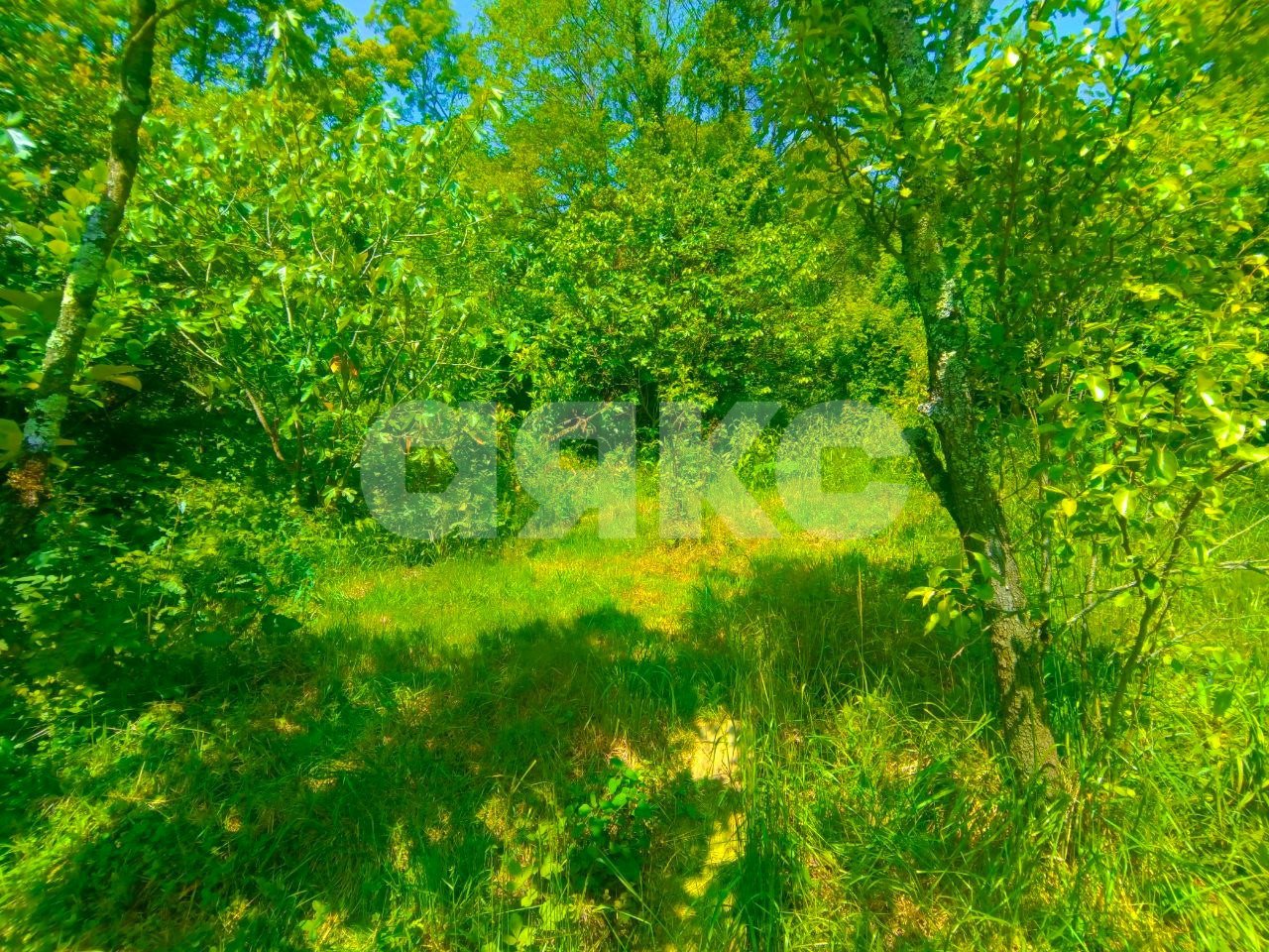 Фото №4: Дом 59 м² + 7 сот. - Сочи, Донская, пер. Виноградный