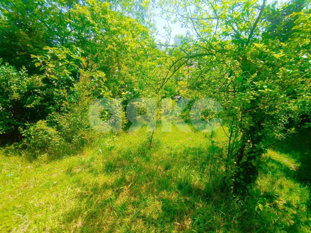 Фото №5: Дом 59 м² + 7 сот. - Сочи, Донская, пер. Виноградный