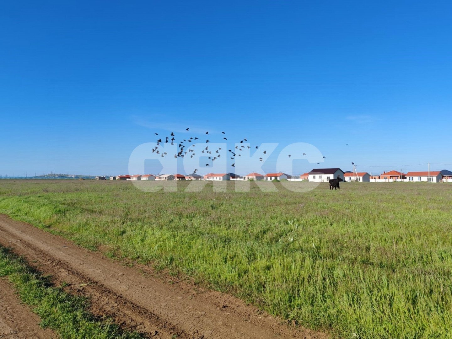 Фото №10: Земельный участок под ИЖС 5 сот. - Тамань, 