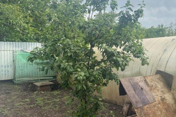 Фото №3: Дом 70 м² - Тензоприбор, мкр. Прикубанский внутригородской округ, ул. Мичурина, 194