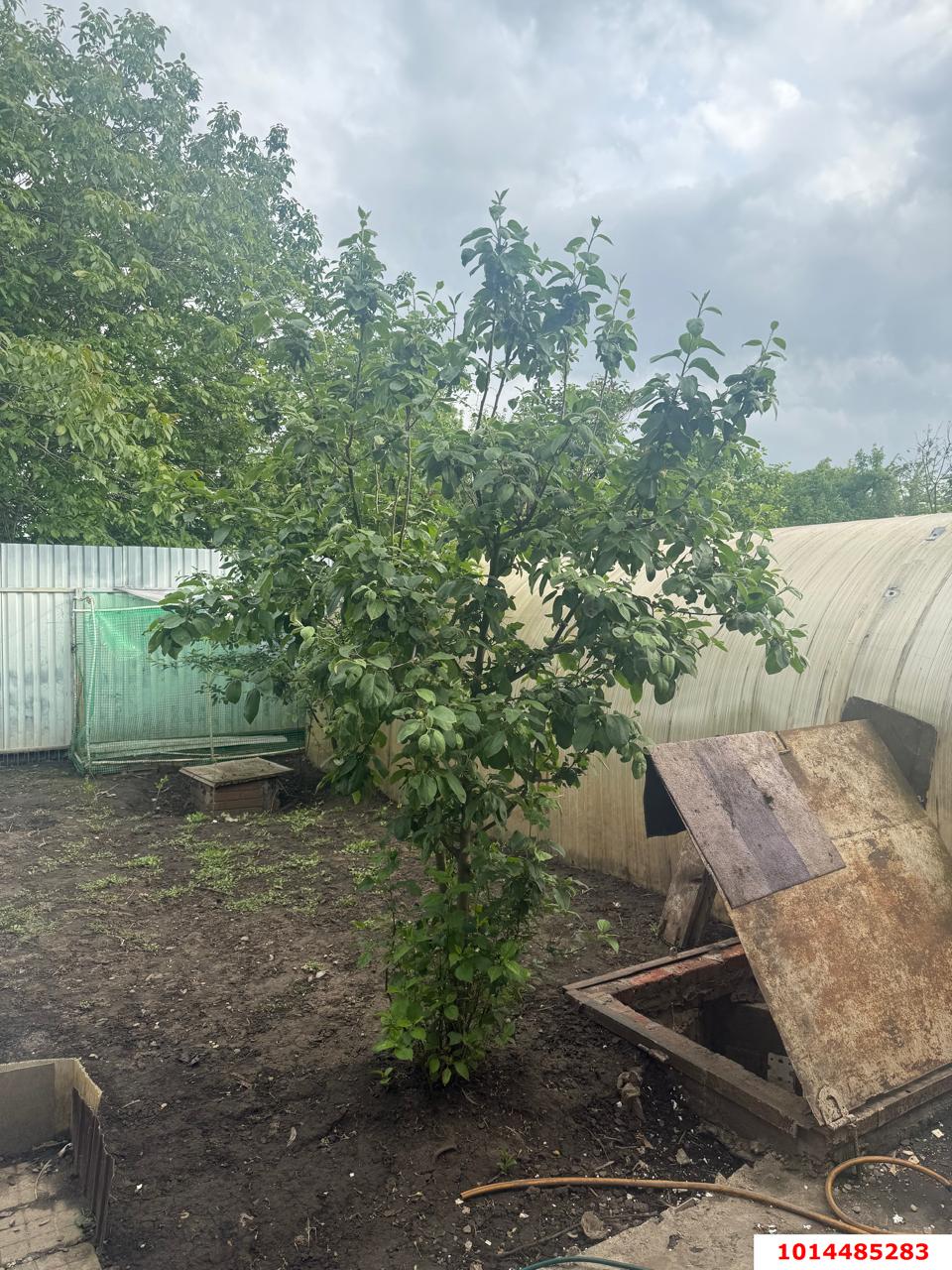 Фото №3: Дом 70 м² + 2.96 сот. - Тензоприбор, Прикубанский внутригородской округ, ул. Мичурина, 194