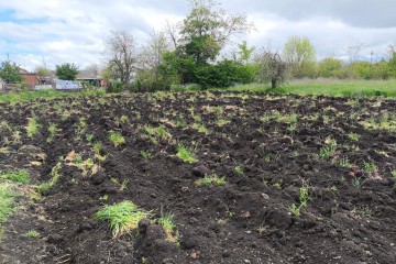 Фото №4: Дом 33 м² - Новомышастовская, ул. Славянская, 59