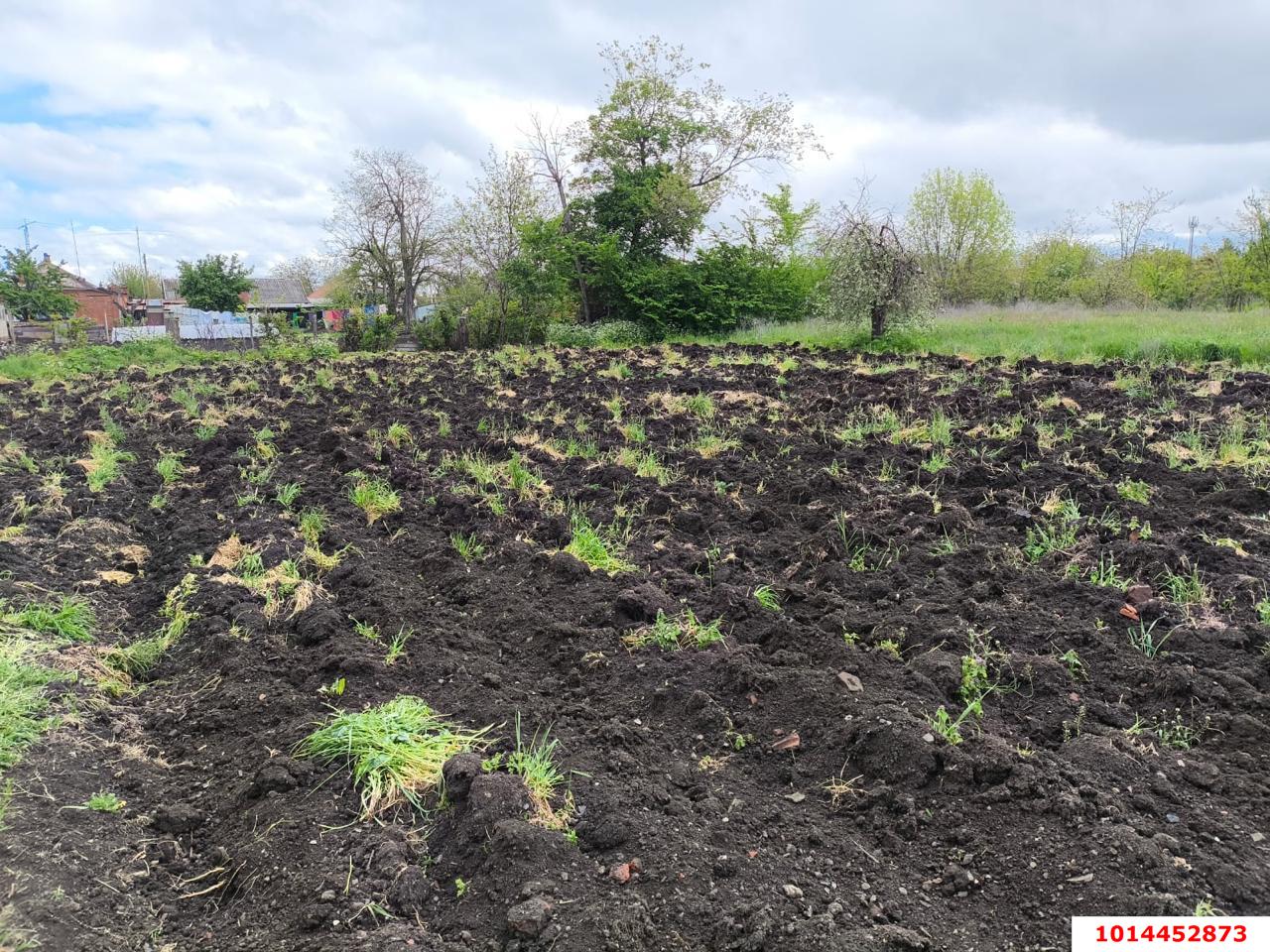 Фото №4: Дом 33 м² + 15 сот. - Новомышастовская, ул. Славянская, 59