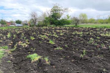 Фото №4: Дом 33 м² - Новомышастовская, ул. Славянская, 59