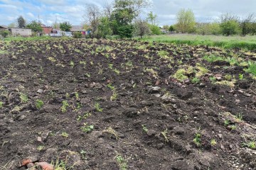 Фото №3: Дом 33 м² - Новомышастовская, ул. Славянская, 59