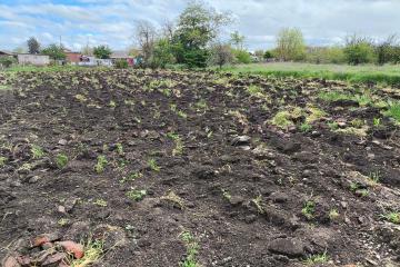 Фото №3: Дом 33 м² - Новомышастовская, ул. Славянская, 59