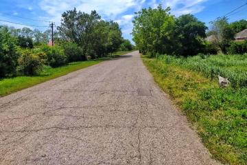 Фото №2: Земельный участок 47 сот. - Новодонецкая, ул. Ленина, 198