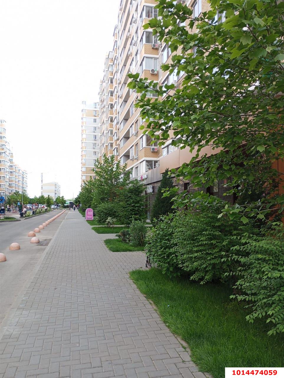 Фото №14: Студия 19 м² - Краснодар, Светлоград, ул. Красных Партизан, 1/4к8