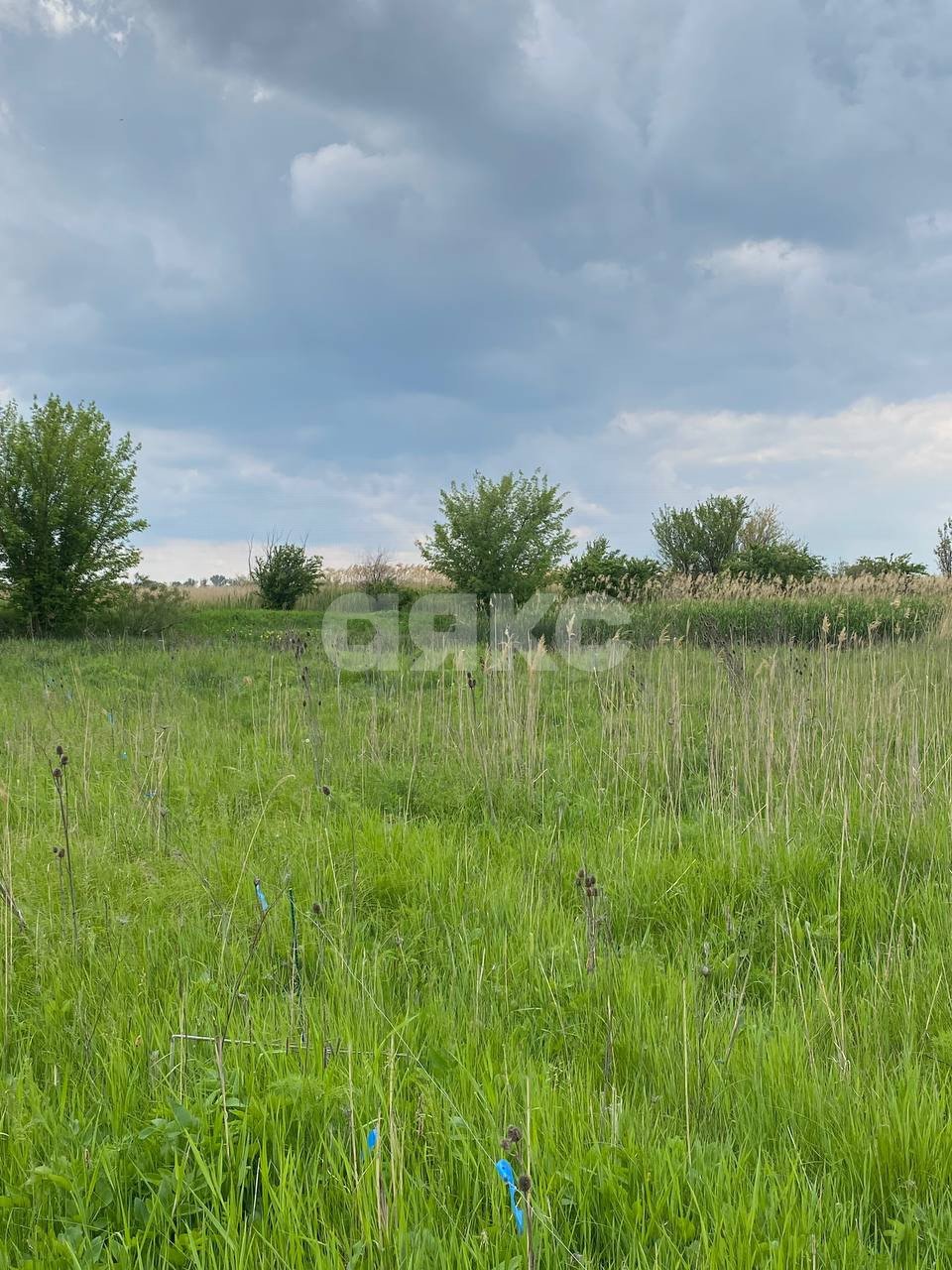 Фото №6: Личное подсобное хозяйство 15 сот. - Ростовская область Азовский район