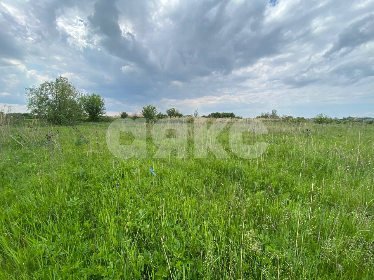 Фото №4: Личное подсобное хозяйство 15 сот. - Ростовская область Азовский район