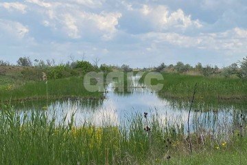 Фото №1: Личное подсобное хозяйство - Ростовская область Азовский район