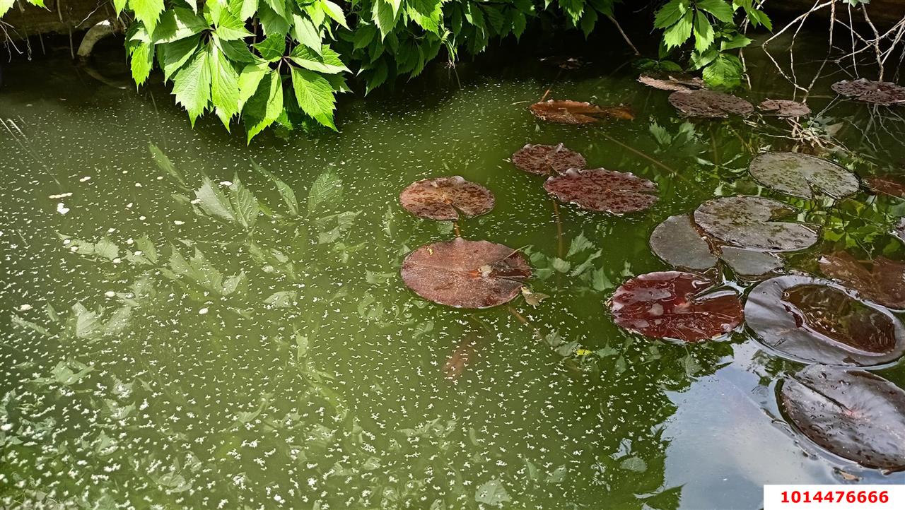 Фото №15: Дом 44 м² + 10 сот. - Берёзовый, мкр. Прикубанский внутригородской округ, ул. Светлая, 29