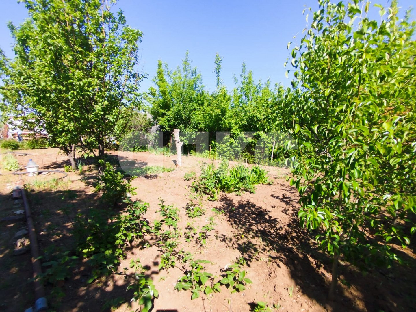 Фото №2: Участок садоводство 10.5 сот. - Волгоград, 2-й массив, ул. имени Менделеева