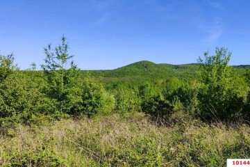 Фото №1: Участок садоводство 10 сот. - Смоленская, ул. Степная