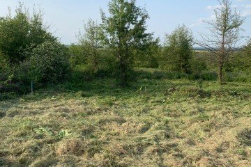 Фото №5: Участок садоводство 10 сот. - Смоленская, ул. Степная