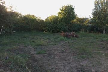 Фото №4: Земельный участок 5.28 сот. - Новый, ст Дружба, ул. Вишнёвая, 238