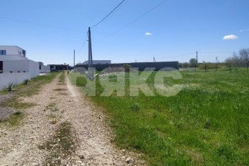 Фото №3: Земельный участок под ИЖС - Кучугуры, пер. Миндальный, 8