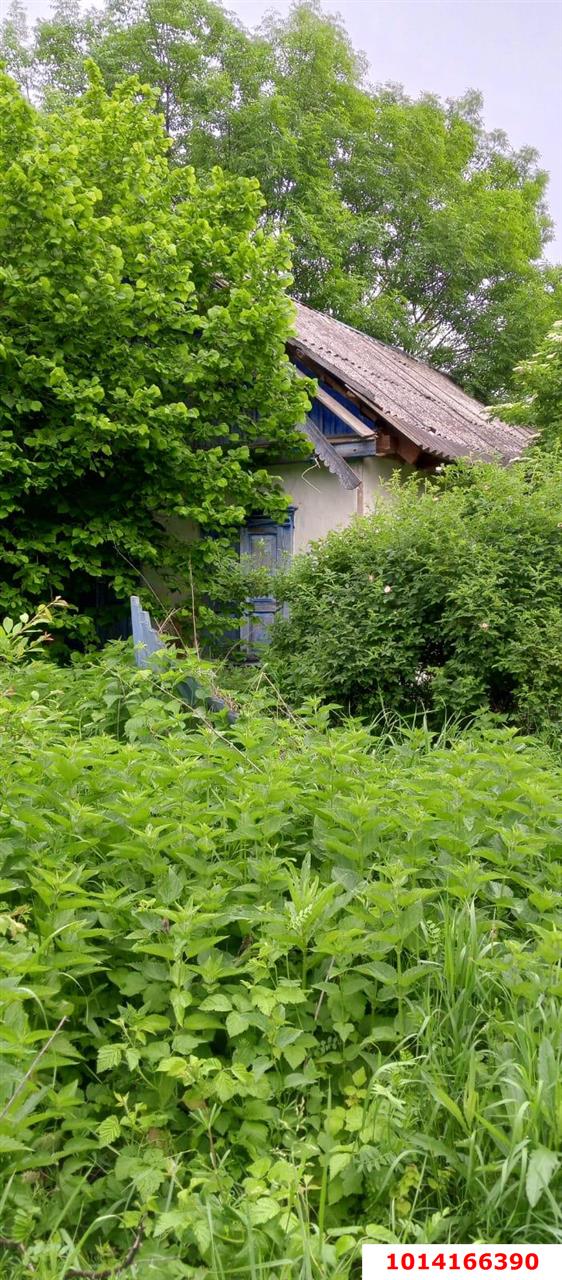 Фото №2: Дом 30 м² + 20 сот. - Красный, ул. Маяковского, 17