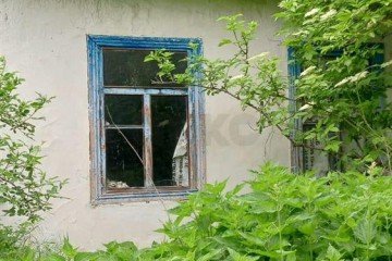 Фото №1: Дом 30 м² - Красный, ул. Маяковского, 17