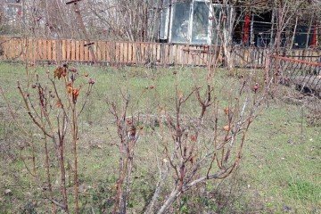Фото №5: Дача 30 м² - Железнодорожник-3, мкр. Карасунский внутригородской округ, ул. Лунная, 206