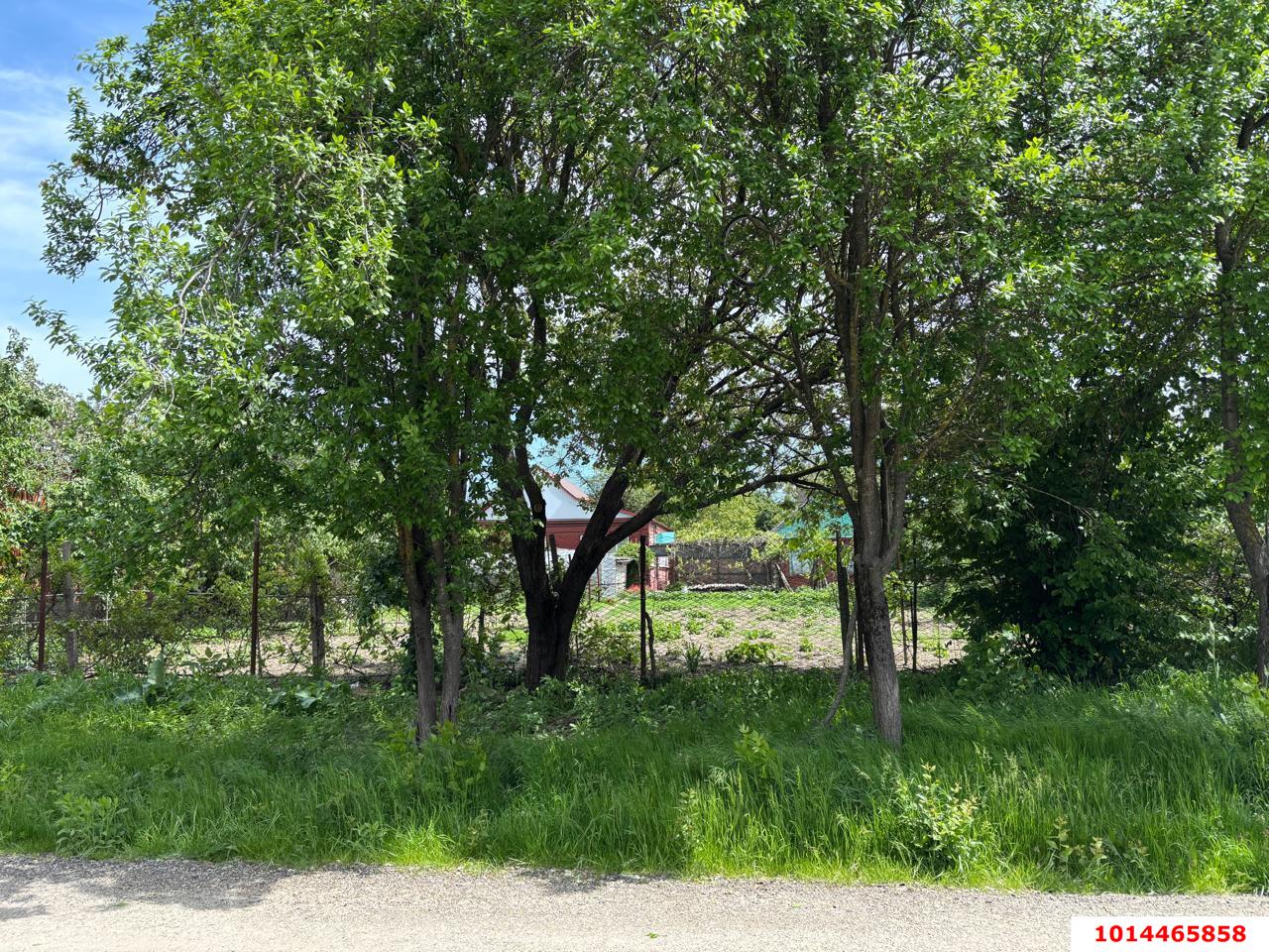 Фото №7: Земельный участок 6 сот. - Северская, ул. Мира, 64