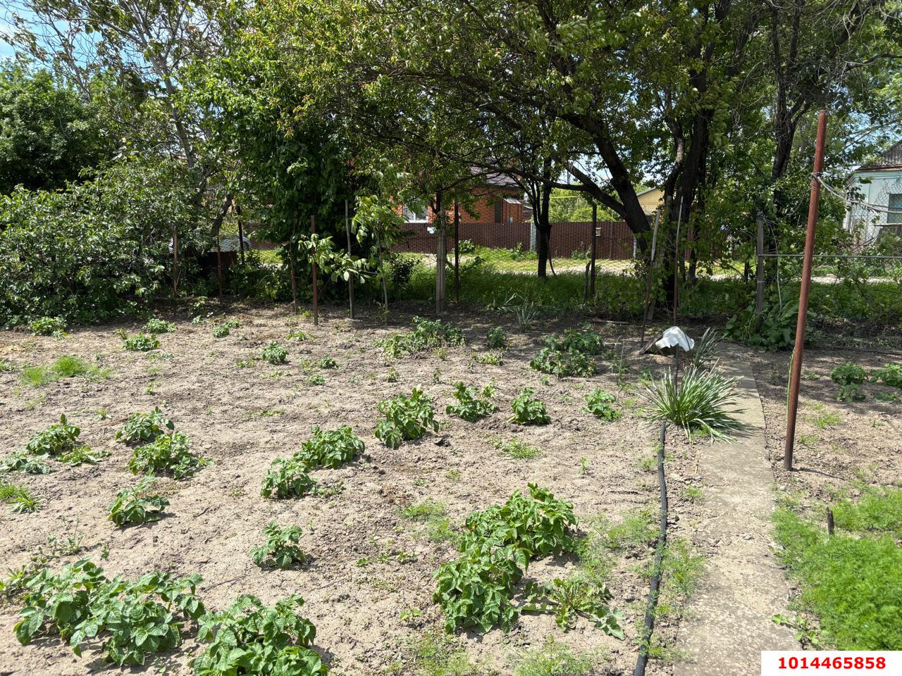 Фото №9: Земельный участок 6 сот. - Северская, ул. Мира, 64