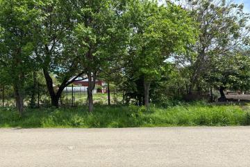 Фото №4: Земельный участок 6 сот. - Северская, ул. Мира, 64