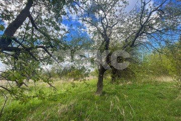 Фото №5: Земельный участок под ИЖС - сельский  Дубовка, 