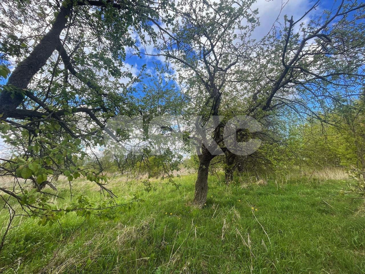 Фото №5: Земельный участок под ИЖС 12 сот. - сельский  Дубовка, 