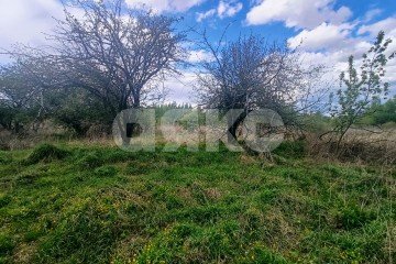 Фото №4: Земельный участок под ИЖС - сельский  Дубовка, 