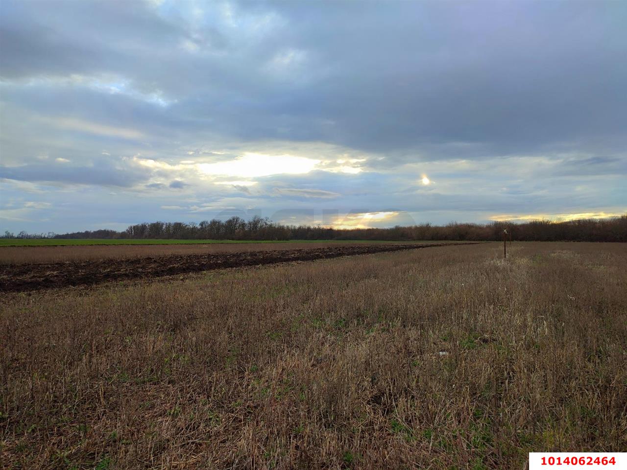 Фото №7: Земельный участок 9.1 сот. - Первореченское, ул. Кирпичная, 2