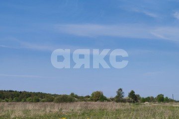 Фото №4: Личное подсобное хозяйство - Глебово, 