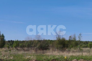 Фото №3: Личное подсобное хозяйство - Глебово, 
