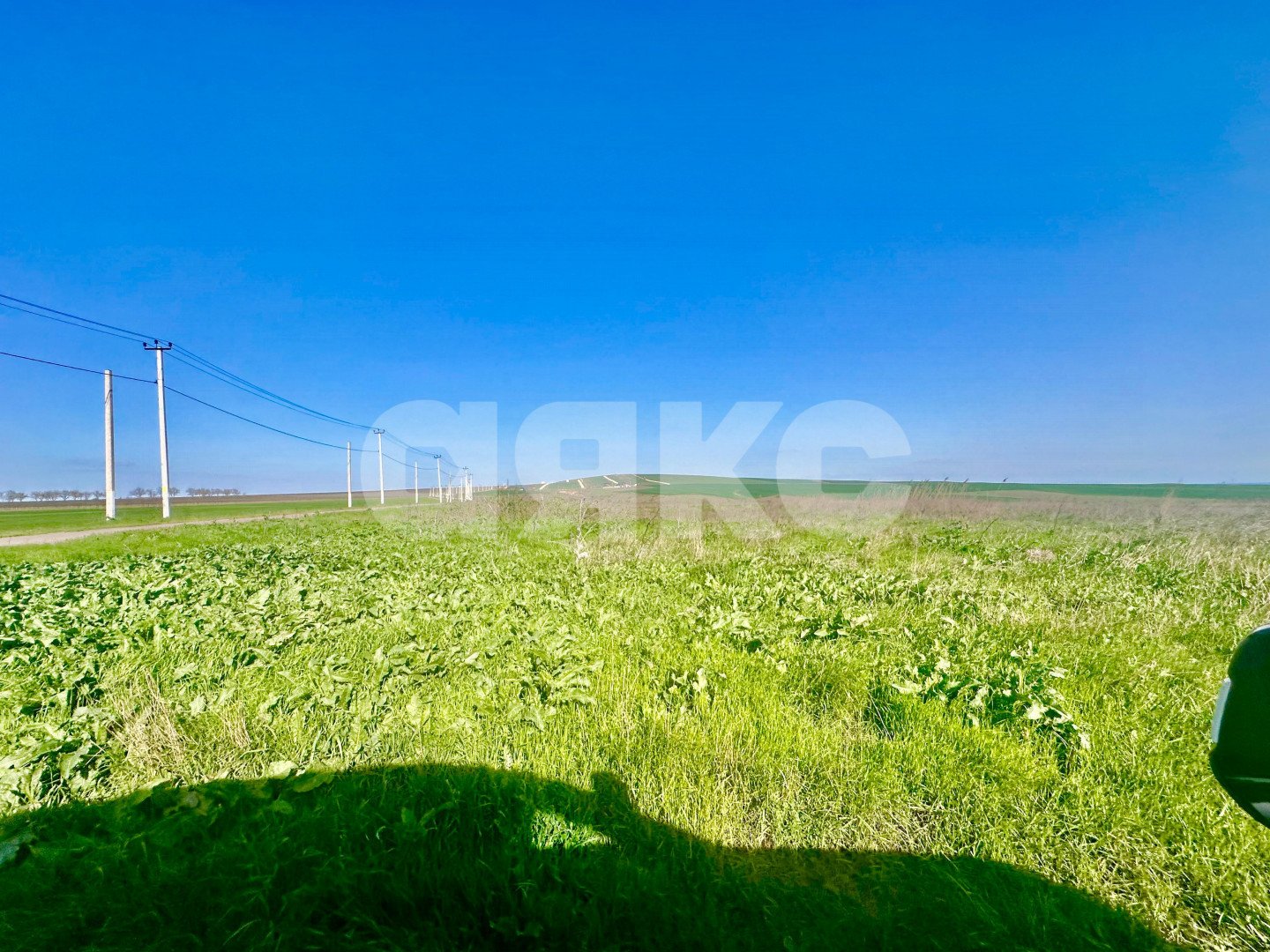 Фото №12: Земельный участок под ИЖС 9.7 сот. - Веселовка, ул. Луговая, 14