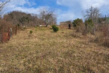 Фото №3: Земельный участок под ИЖС - Красная Воля, р. Адлерский, ул. Володи Ульянова, 9