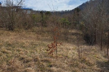 Фото №2: Земельный участок под ИЖС 4.14 сот. - Красная Воля, р. Адлерский, ул. Володи Ульянова, 9