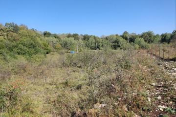 Фото №3: Коммерция 10 м² - Краснодарский край Апшеронский район