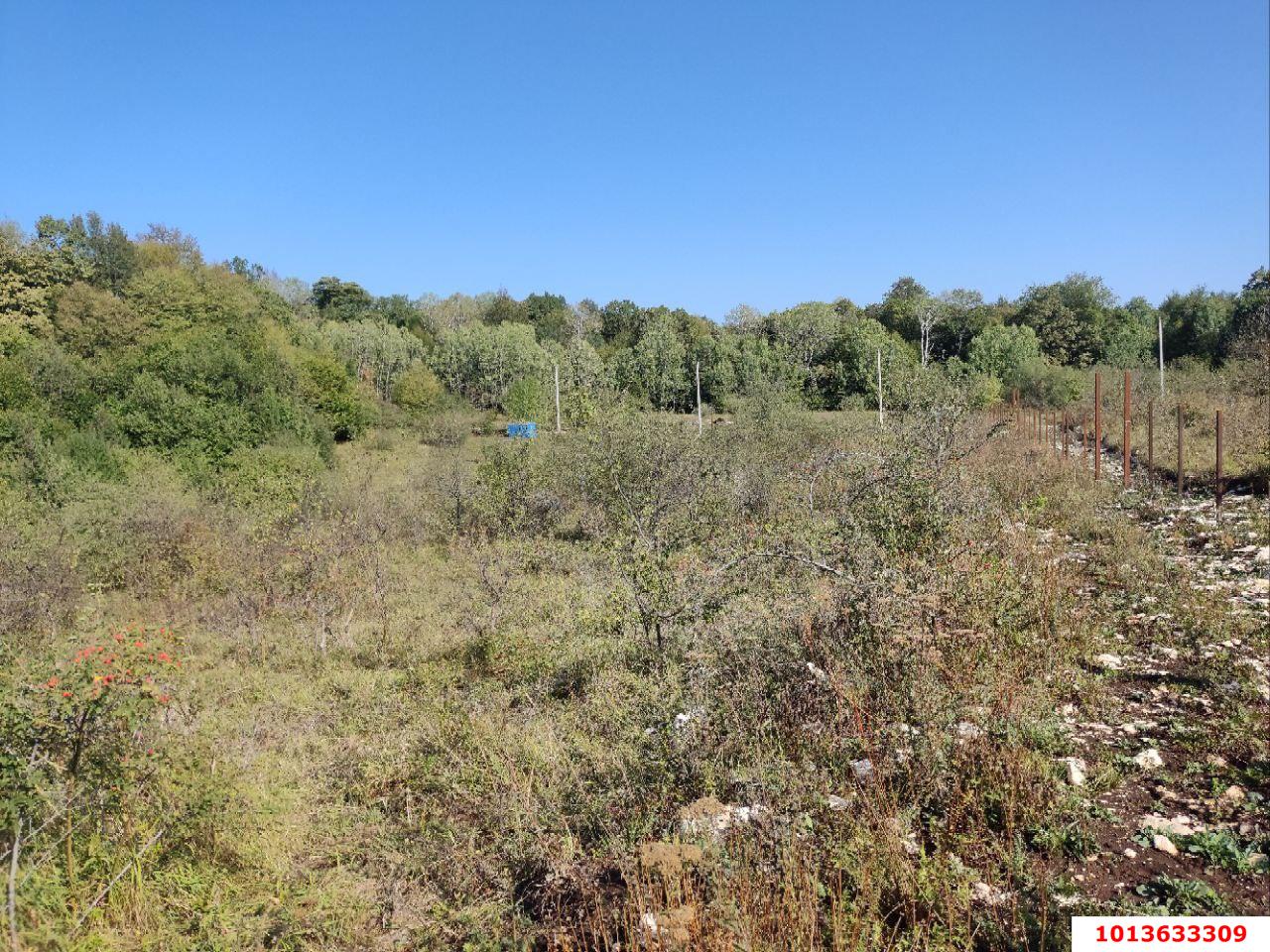 Фото №3: Коммерция 10 м² - Краснодарский край Апшеронский район