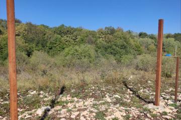 Фото №4: Коммерция 10 м² - Краснодарский край Апшеронский район