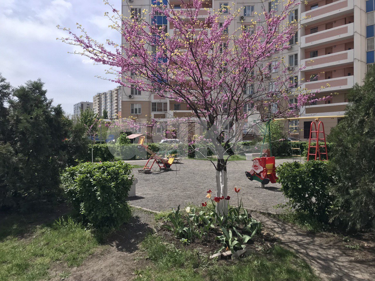 Фото №14: 1-комнатная квартира 44 м² - Ростов-на-Дону, жилой комплекс Красные Ворота, пер. Суздальский, 17