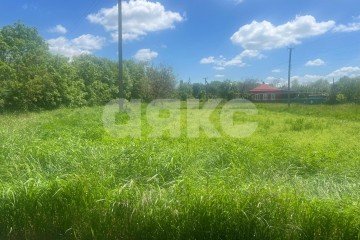 Фото №2: Личное подсобное хозяйство - Советская, ул. Красных Партизан, 1/1