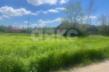 Фото №4: Личное подсобное хозяйство - Советская, ул. Красных Партизан, 1/1