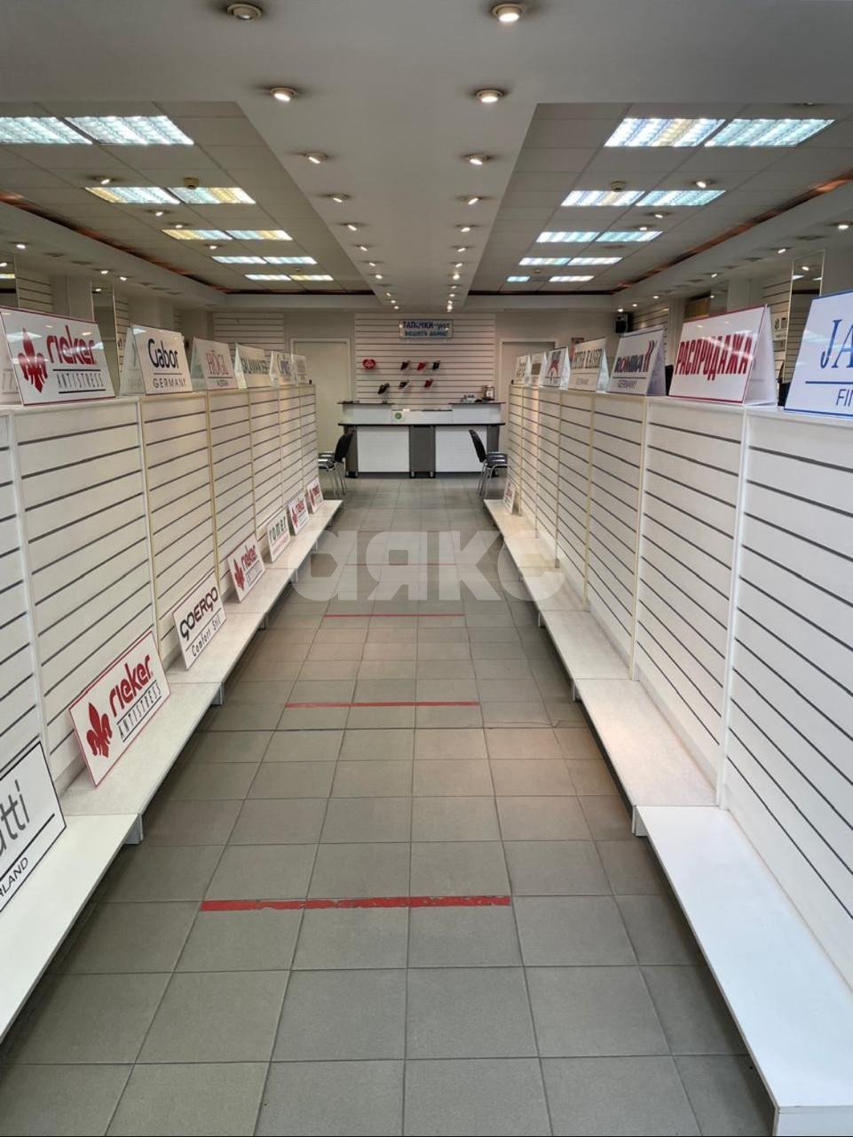Фото №3: Коммерция 250 м² - Ростов-на-Дону, Кировский, ул. Большая Садовая, 88