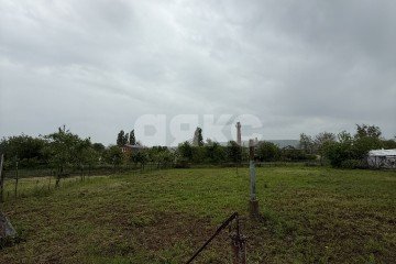 Фото №2: Личное подсобное хозяйство - Тимирязева, ул. Лесная, 67